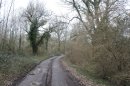 Bois de Parempuyre